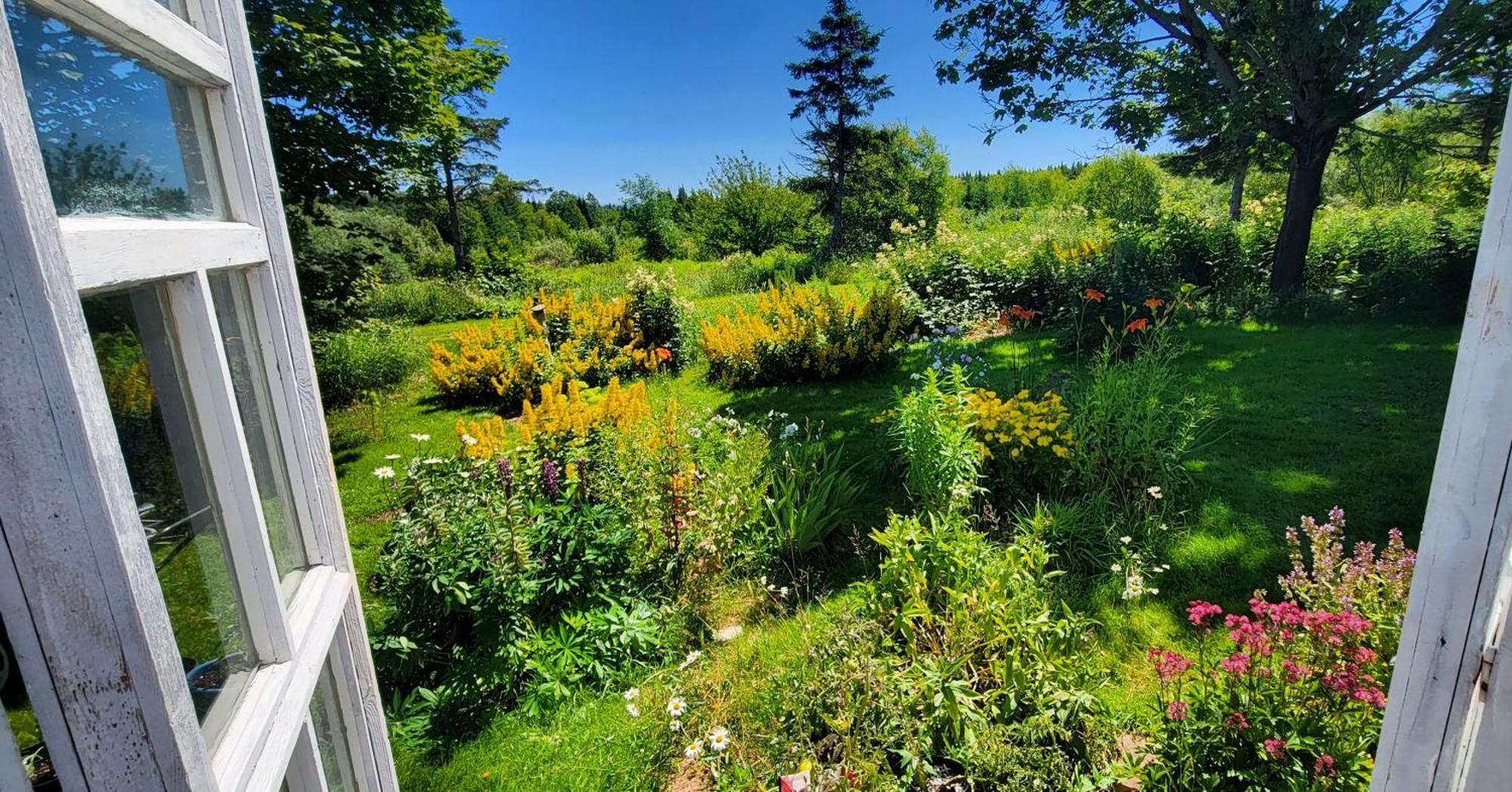 Gite Aux Jardins De L'Anse Perce Exterior photo